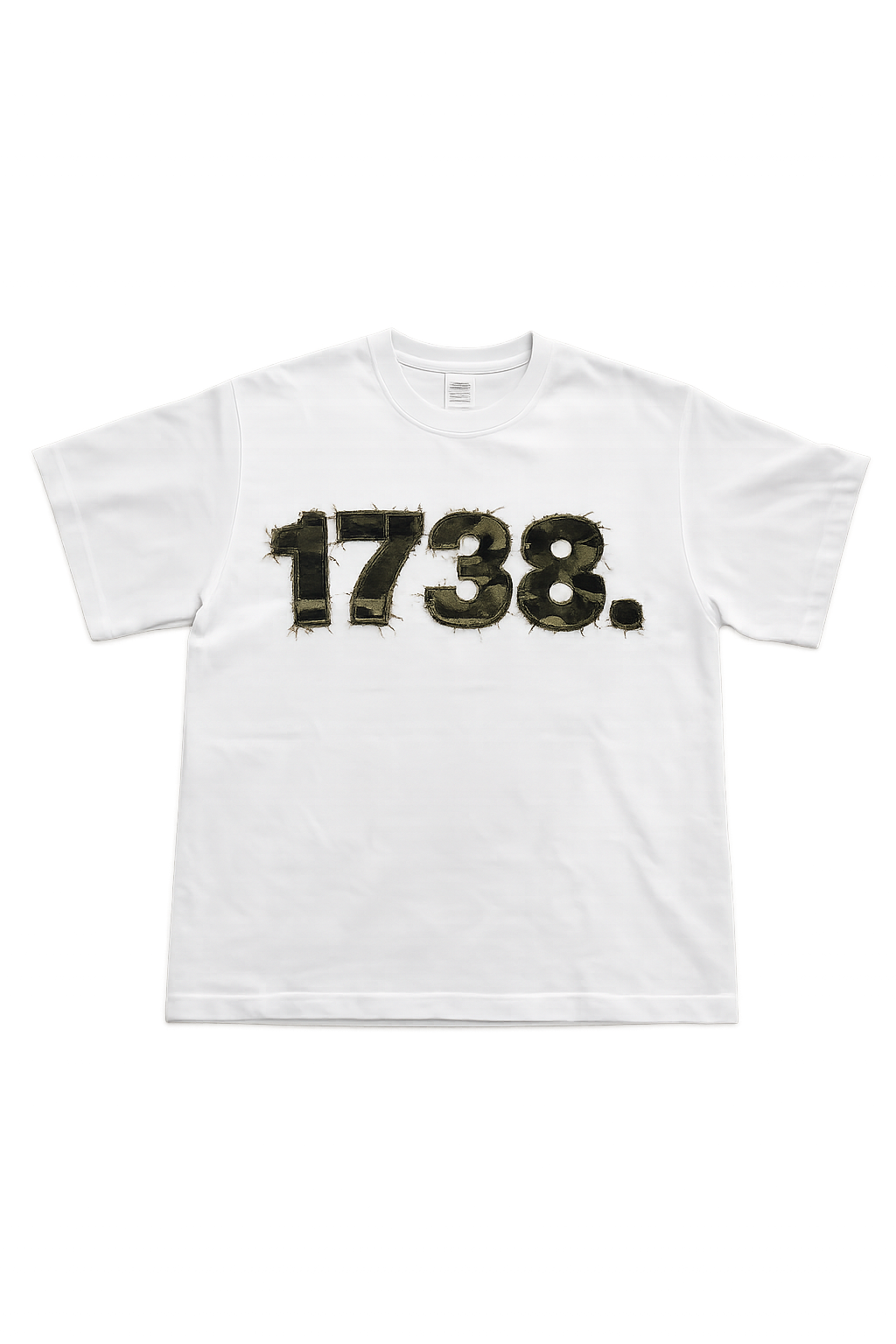 1738. Novae Camo
